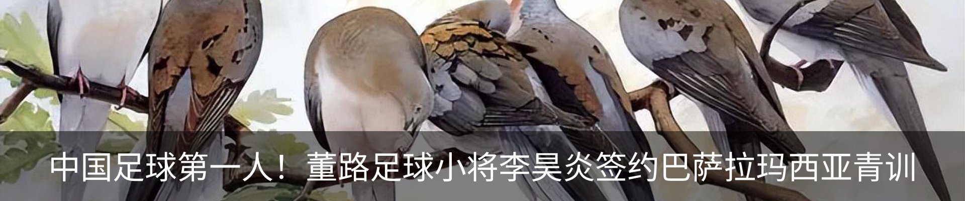 行业资讯
